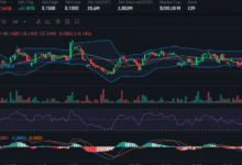Blum Coin’s Market Trends: An In-Depth Price Prediction for 2025 and Beyond