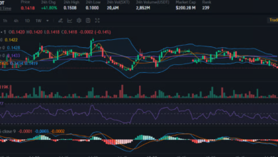 Blum Coin’s Market Trends: An In-Depth Price Prediction for 2025 and Beyond