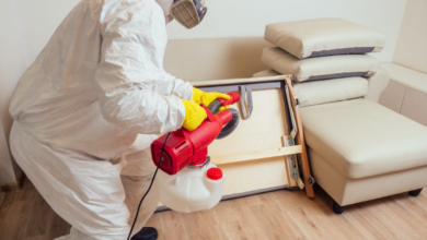 Protecting Your Home and Family from Tick-Borne Threats With Tick Tape