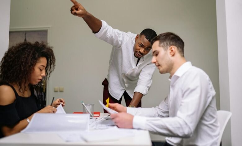 harmonicode team member roles