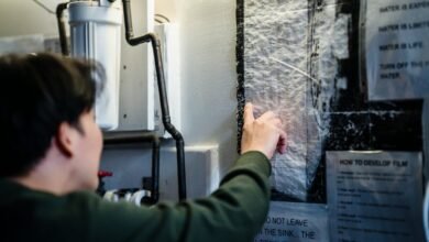 imagefap categories overview guide