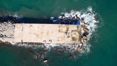 imagefap platform features overview