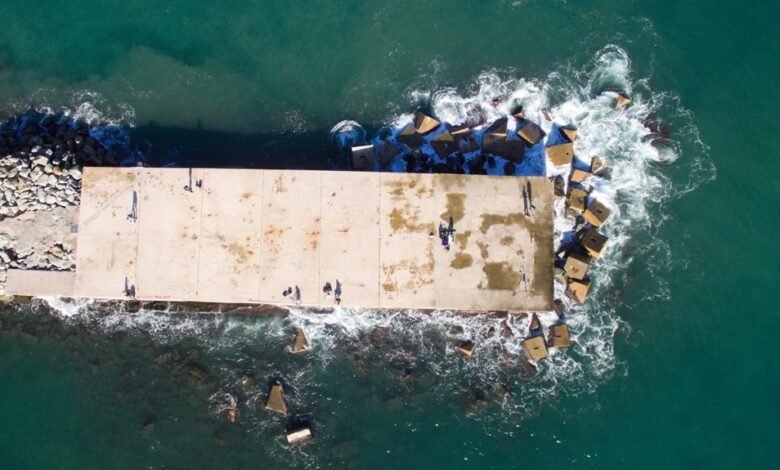 imagefap platform features overview