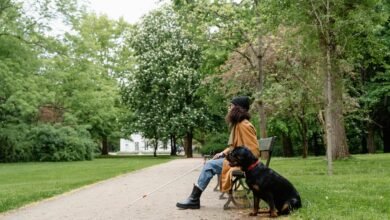 lopalapc2547 access information guide