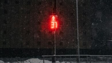 analytical signal validation summary