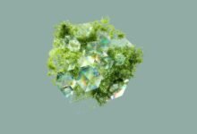 data integrity analysis summary