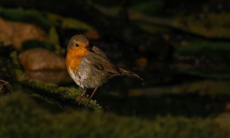 high reliability metric examination log