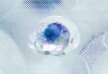 numerical intelligence integration brief