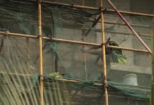 advanced tools frameworks available