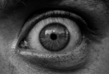 complaint insights and alerts