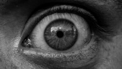 complaint insights and alerts