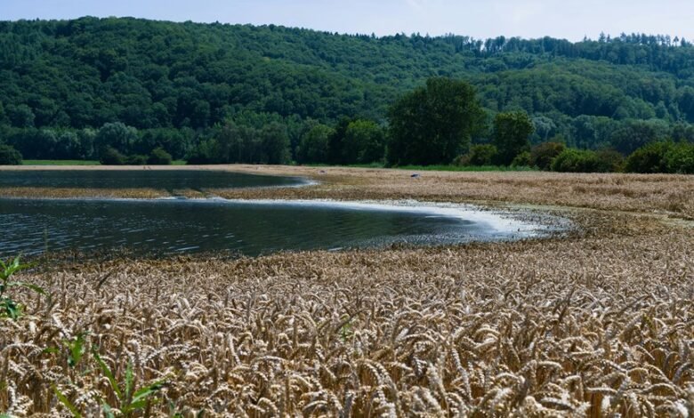 digital horizon yield edge