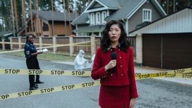 safety report summary overview