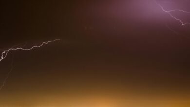 stellar growth trajectory planned