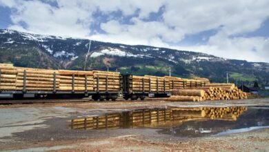 testing platform performance insights