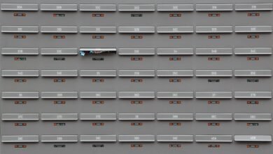 ip address 097 119 66 88 overview