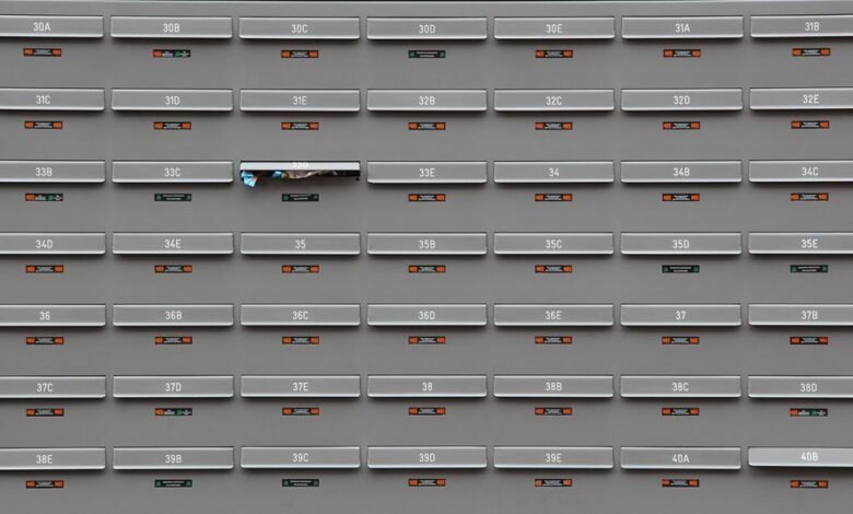 ip address 097 119 66 88 overview